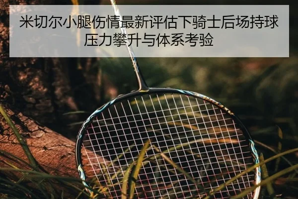 mi-qie-er-xiao-tui-shang-qing-zui-xin-ping-gu-xia-qi-shi-hou-chang-chi-qiu-ya-li-pan-sheng-yu-ti-xi-kao-yan-1-255.jpg